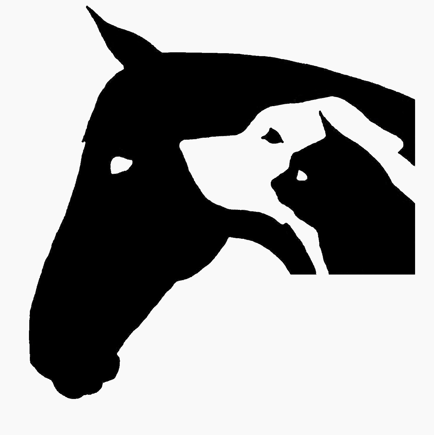 Logo der Tierarztpraxis